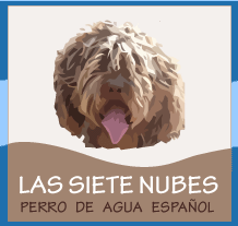Al-Andalus Perro de Agua Espa�ol, Lorca