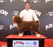 Las Siete Nubes, n� 18549 reconocido por la Real Sociedad Canina de Espa�a y la F�d�ration Cynol�gique Internacionale (F.C.I.)